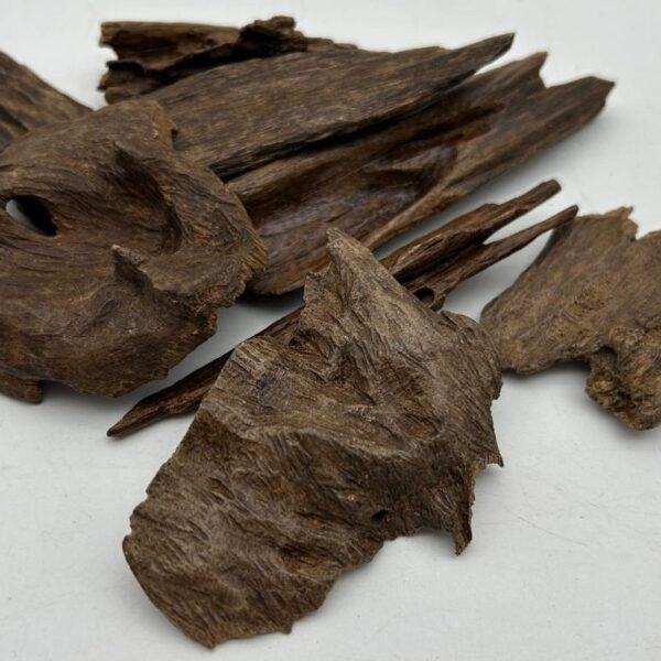 عود ماليزي و سيلاني (قديم)